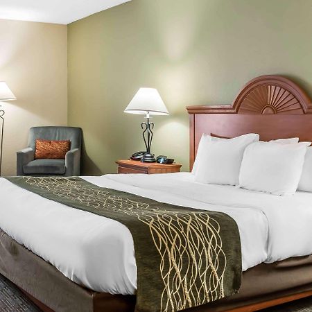 Comfort Inn Pine Grove I-81 Hershey Area Εξωτερικό φωτογραφία