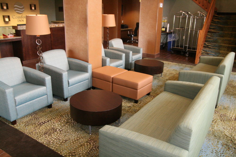 Comfort Inn Pine Grove I-81 Hershey Area Εξωτερικό φωτογραφία